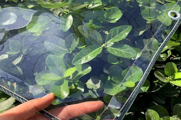 Tarpaulin Sheets for Scaffolding and Temporary Roofing clear tarpaulin