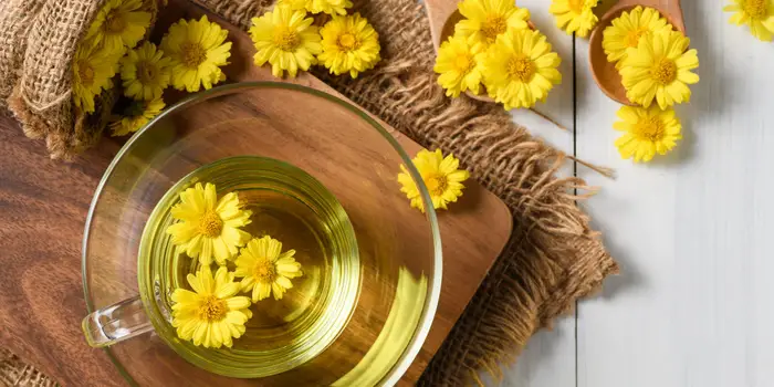 Dandelion Tea in Pakistan