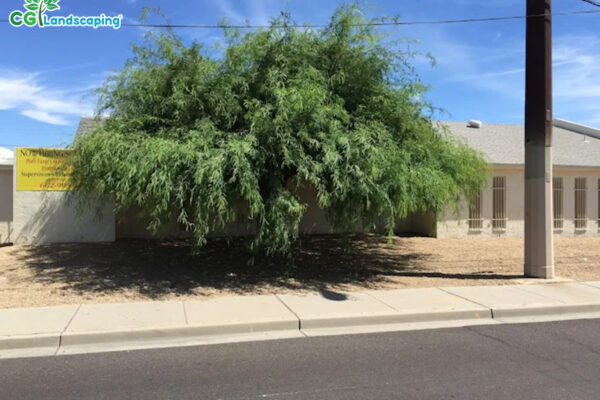 Irrigation Services in Arizona