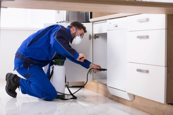 The Complete Guide to Professional Pest Management for Businesses