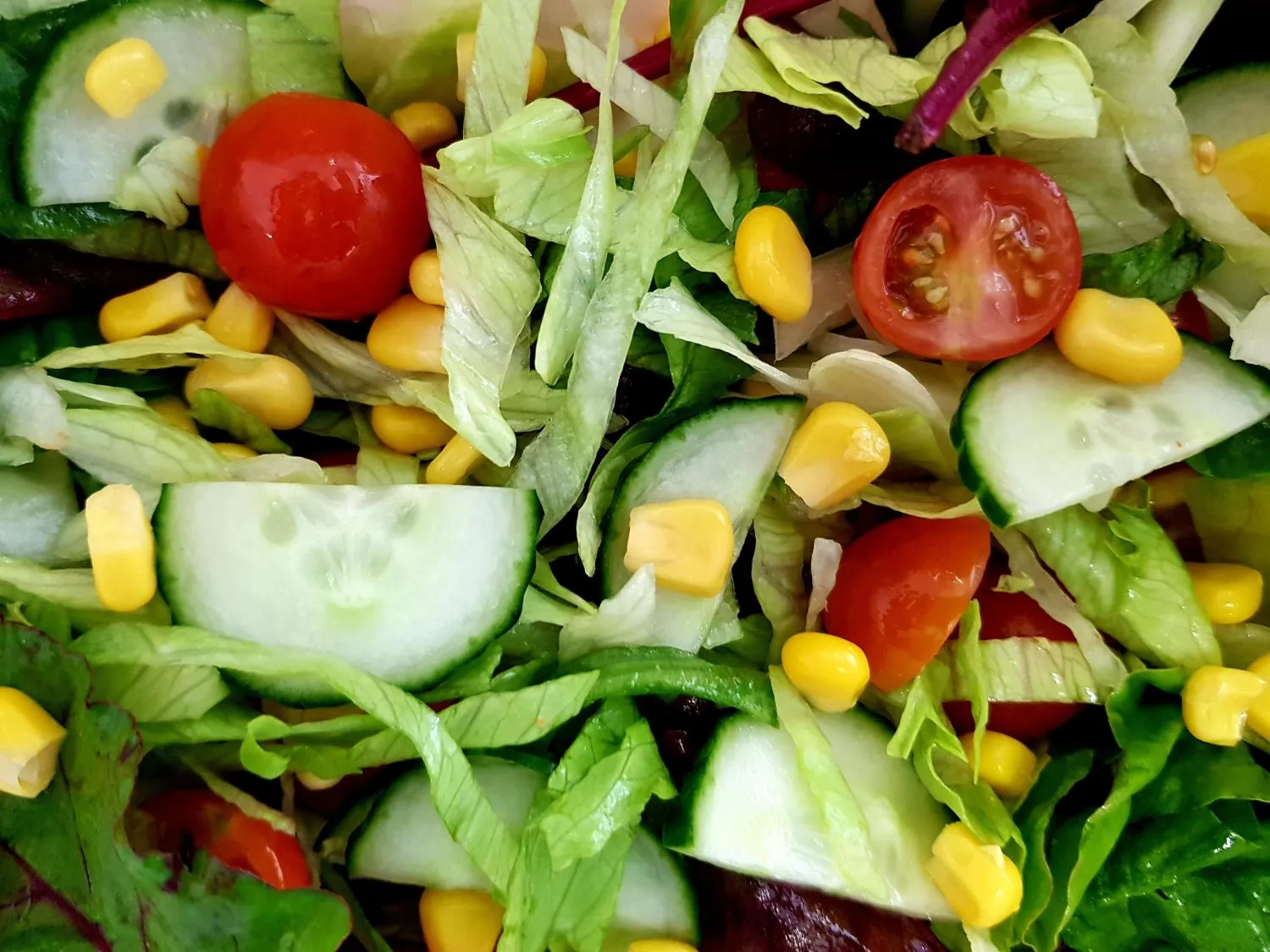 Salad catering Los Angeles