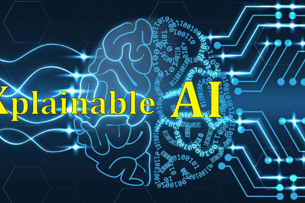 The Role of Explainable AI (XAI) in Data Science