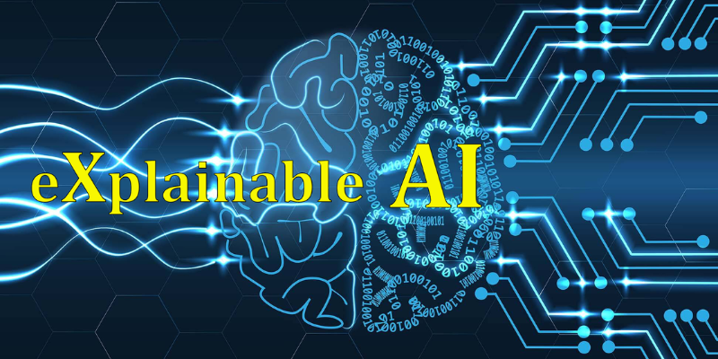 The Role of Explainable AI (XAI) in Data Science