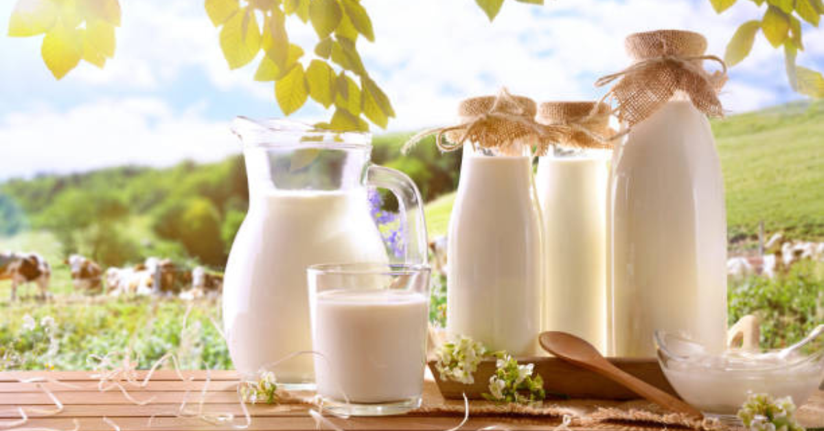 How does milk delivery in Chennai ensure the supply of organic milk for growing children?