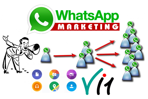 whatsapp marketing services