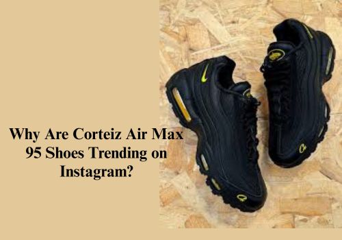 Corteiz Air Max 95