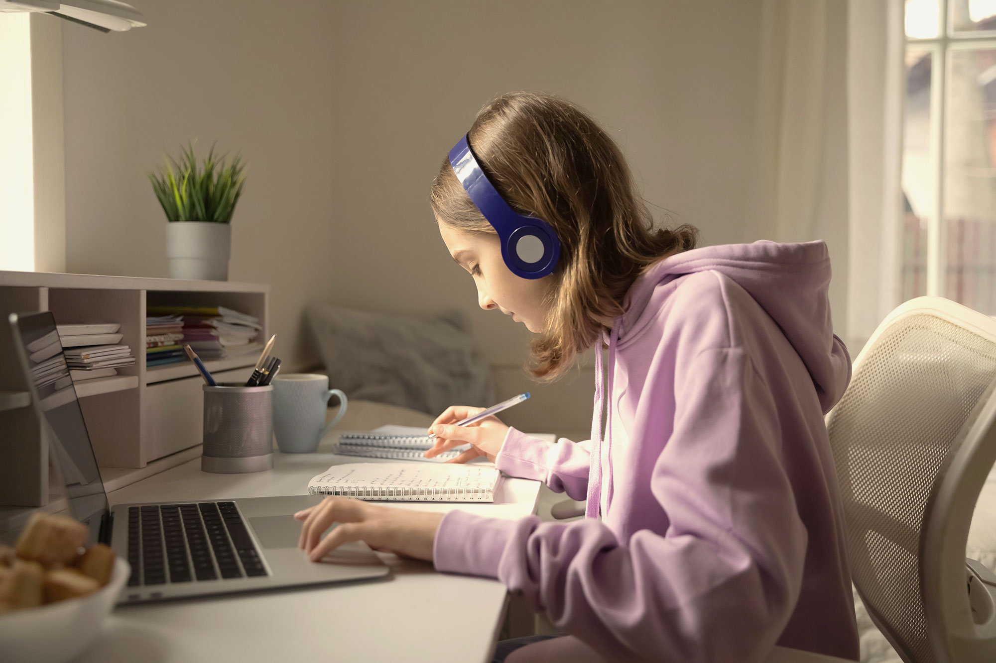 novel writing services online
