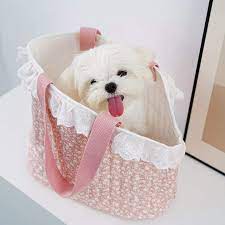 dog overnight bag