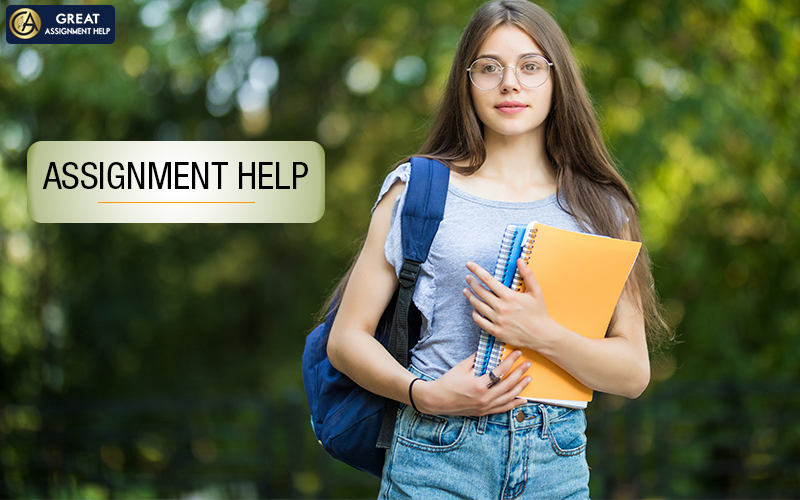 Assignment Help