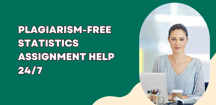 Plagiarism-Free Statistics Assignment Help 24/7