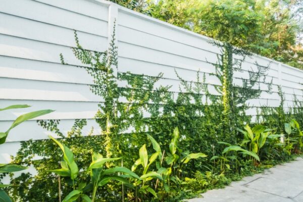 Trusted Fence Company in Naperville for Durable and Stylish Fencing Solutions fence company naperville