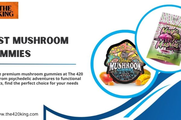 Best Mushroom Gummies for Psychedelic and Functional Wellness Best Mushroom Gummies