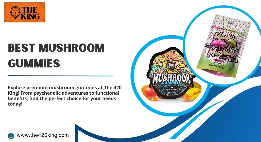 Best Mushroom Gummies