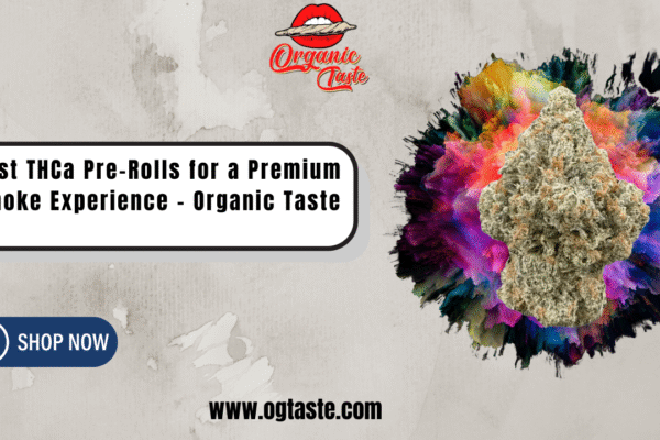 Best THCa Pre-Rolls
