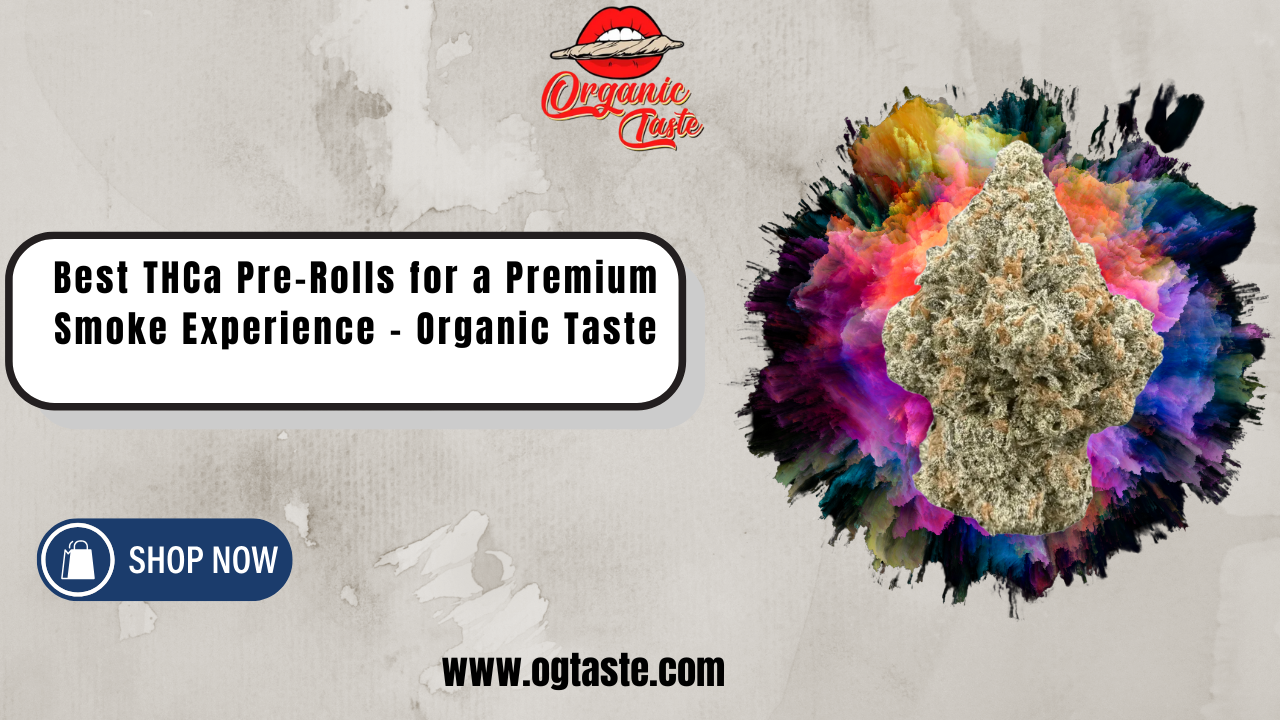 Best THCa Pre-Rolls