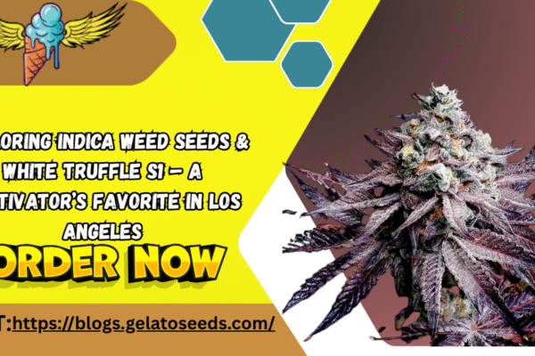 Exploring Indica Weed Seeds & White Truffle S1 – A Cultivator’s Favorite in Los Angeles Indica Weed Seeds