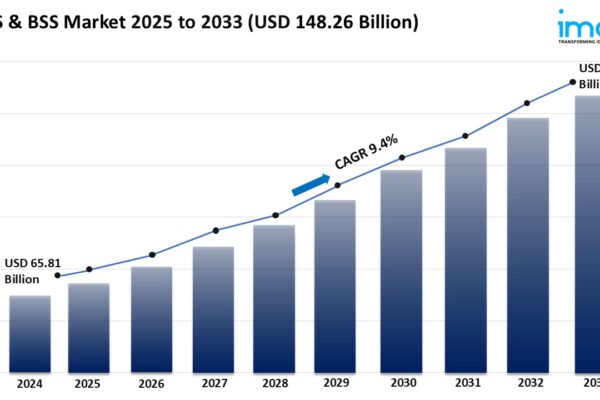 OSS & BSS Market Size, Share, and Growth Forecast 2025-2033 OSS & BSS Market
