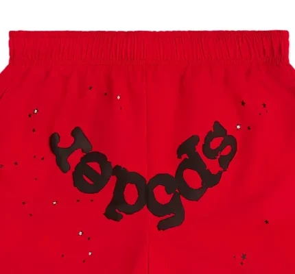 Introduction to Sp5derhoodiesofficials