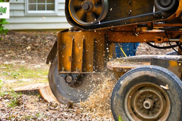 Tree Removal and Stump Grinding
