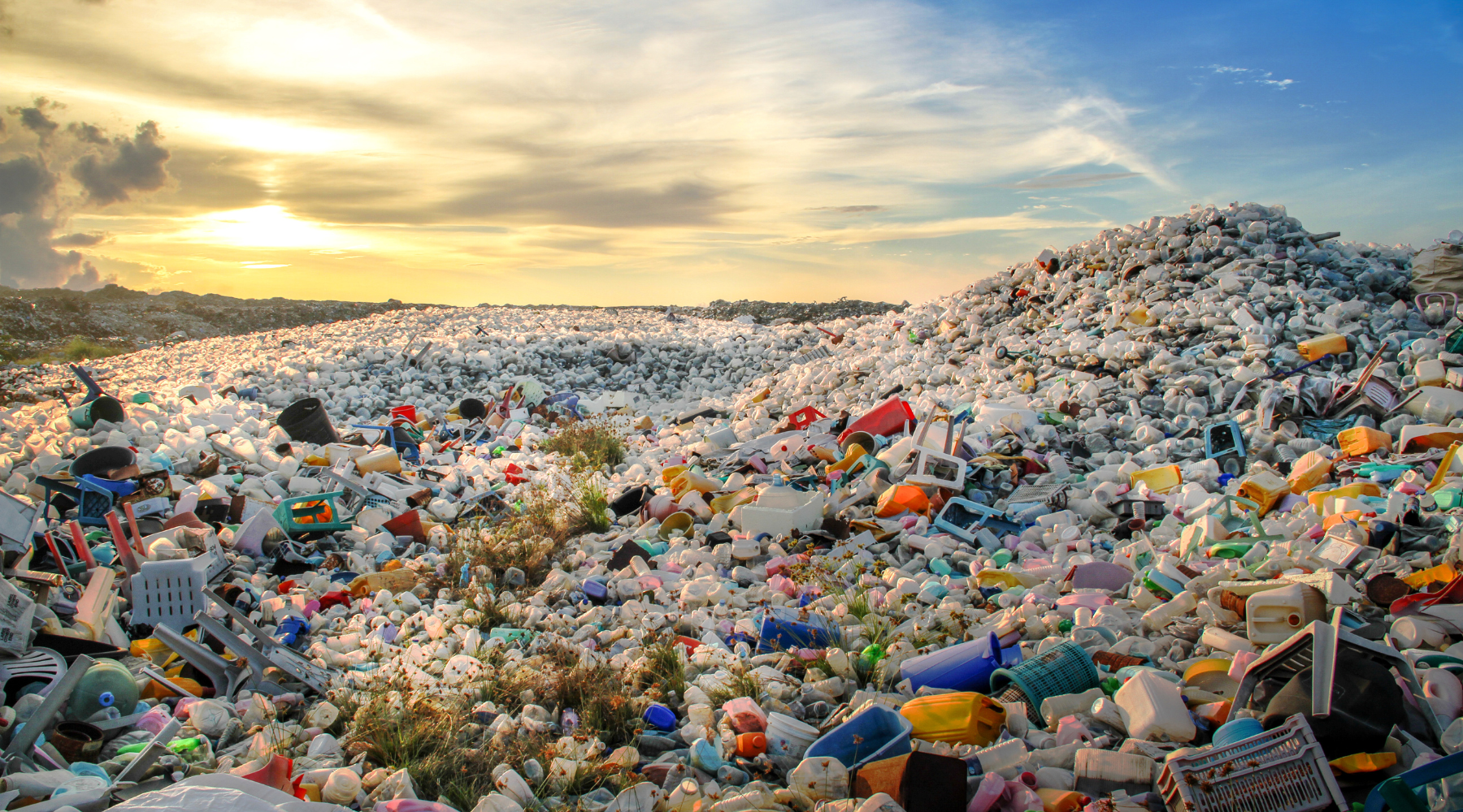Solid Waste Management