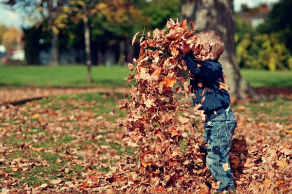 Lawn Care Company Atlanta Your Guide to a Pristine Lawn and Clean Gutters Lawn care company Atlanta maintaining a lush lawn and clean gutters in Atlanta, GA