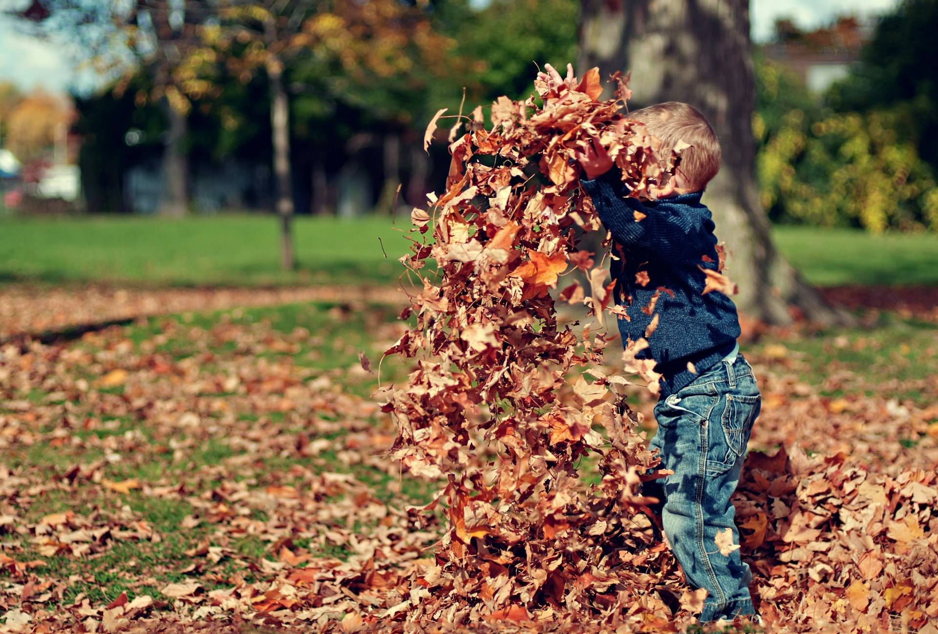 Lawn care company Atlanta maintaining a lush lawn and clean gutters in Atlanta, GA