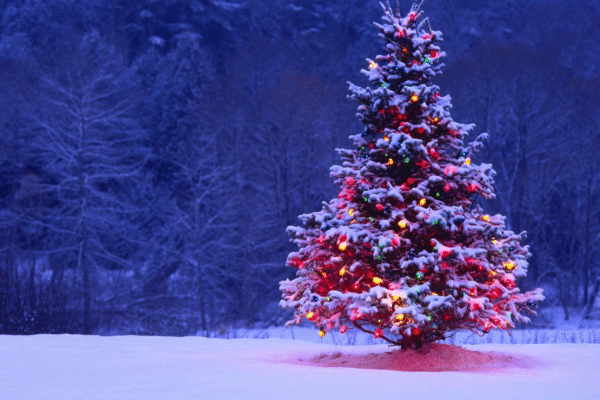 How to Store Your Perfect Prelit Christmas Tree Without Damaging It