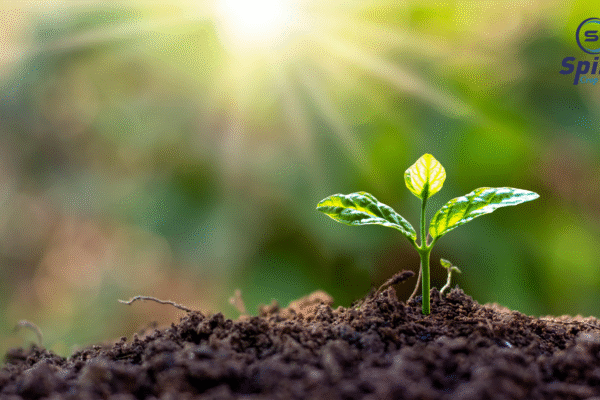 Plant Growth Regulators