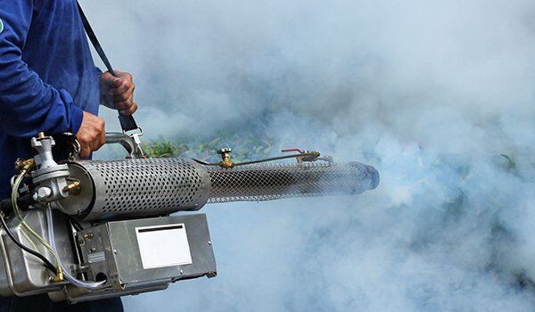 Technician using a fogging machine to spray pesticide and control outdoor pest infestation.