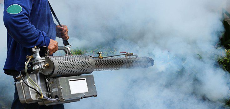 Technician using a fogging machine to spray pesticide and control outdoor pest infestation.