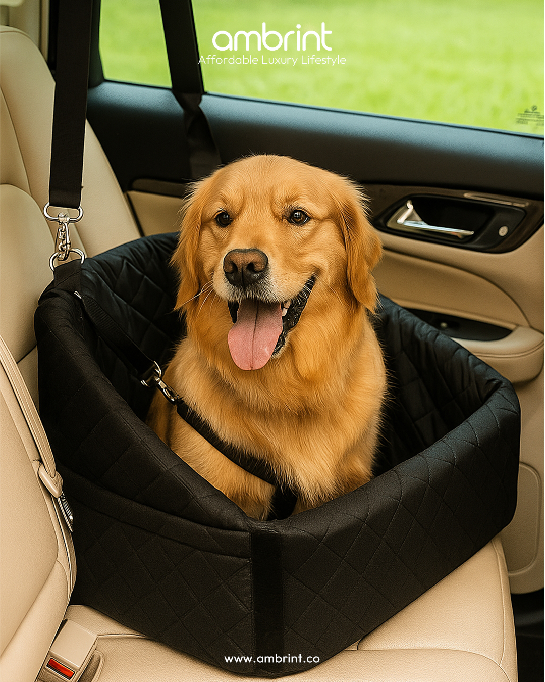 car seat for dogs