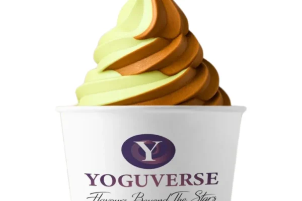 Discover the Freshness and Flavor of Shellharbour’s Yogurt Experience