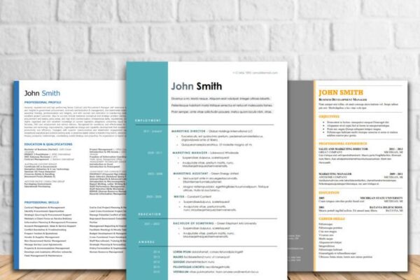 Curriculum Vitae Writer 