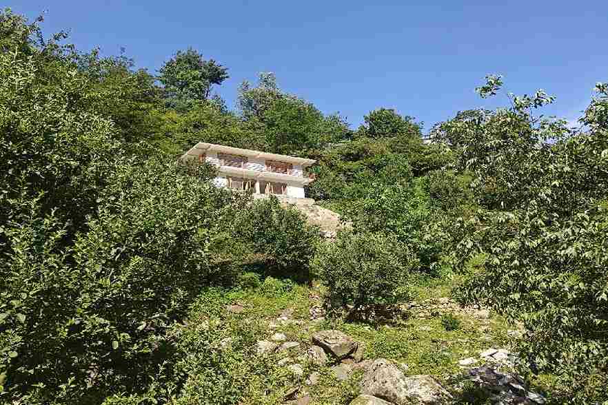 Near Hadimba Temple Manali